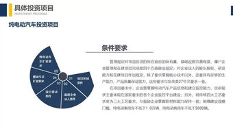 解讀《汽車產業投資管理規定》 聚焦新能源汽車與“樁醫生”的投資咨詢機遇